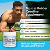 Gym Molly Creatine Hydrochloride Powder, Highly Soluble Creatine Hydrochloride, Unflavoured,
