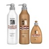 Salon In Recamier Hydra Repair Hair Kit | Shampoo, Conditioner