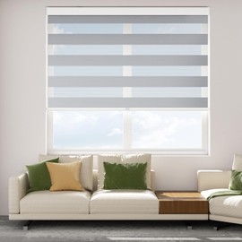 Astomi Zebra Roller Window Shades - Pull Down Roller Shades with Valance, for Living Room, Bedroom, Office, Bathroom, 22" W x 72" H, Silver, Striped Sheer