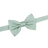OCIA Men's Oziact Pattern Bow Tie, Deep Sage