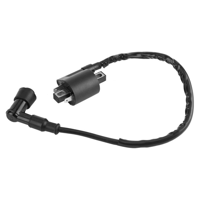Qiilu Ignition Coil MotorcycleIgnition Coil Solid State Module for Honda