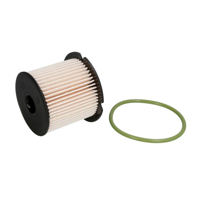 FILTRON PE816/9 Einspritzanlage