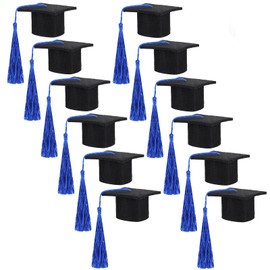 meekoo Mini Graduation Cap Class of 2025 Mini Graduation Hats with Tassels Small Black Grad Cap Bottle Topper Decorations