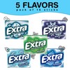 Bitetwist Assorted Sugar Free Mint Gum, Variety pack Of Extra