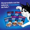 Purina Felix Pouches Alimento Húmedo Sabor Atun, Paquete con 24