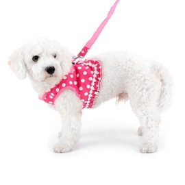 SMALLLEE_LUCKY_STORE No Pull Polka Dot Small Dog Cat Harness with Crown, Soft Mesh Padded Vest Harness and Leash Set for Girls