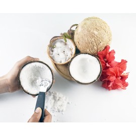 Small Size Handle Coconut Grater - Durable Sharp Stainless Steel Blade Shredder & Multi-Purpose Rasp for Easy Use Efficient Shredding Tool (Plastic handle & stainless steel)