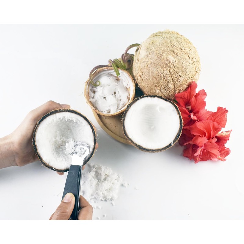 Small Size Handle Coconut Grater - Durable Sharp Stainless Steel