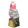 Maruwa Boeki 4008701-00 Solid Object, Momoiro Parakeet, Size: Approx. W