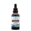 Secrets of the Tribe Onion Alcohol-Free Liquid Extract, Onion (Allium