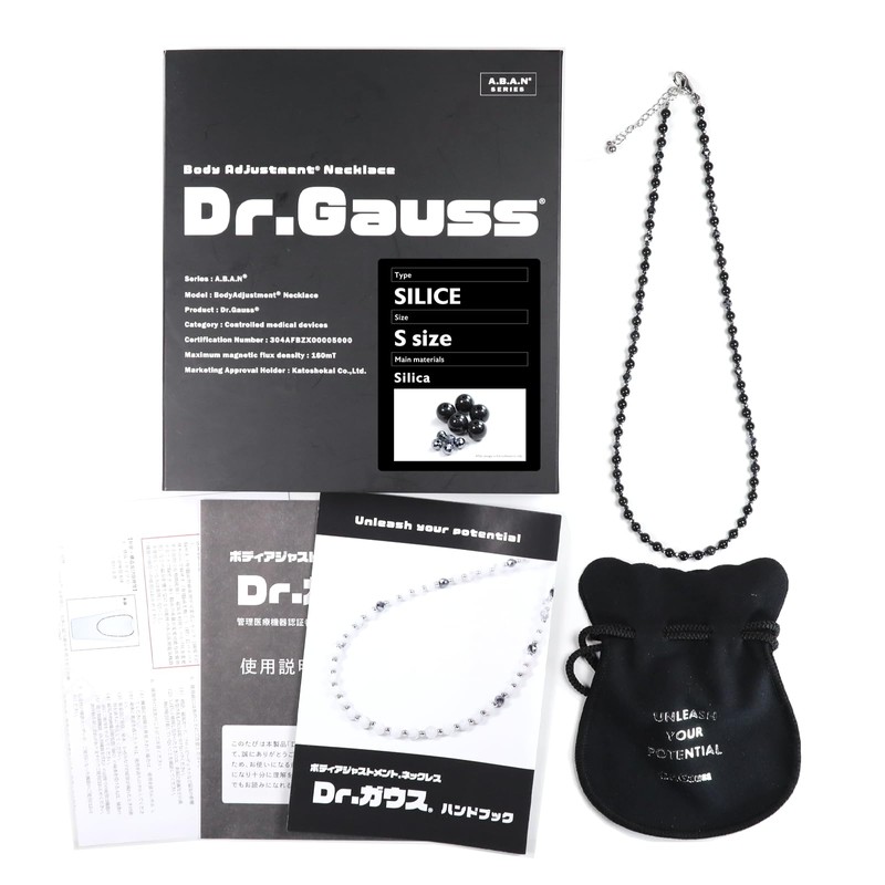 Dr. Gauss SILICE>