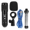 Professional Capacitance USB Microphone Recording Mini Portable MIC Set Plug