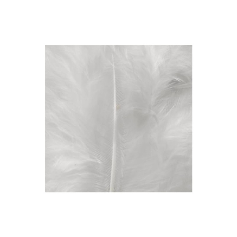 51663 Create Craft - Feathers Turkey 50G White