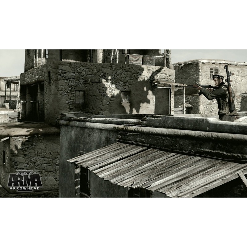 ArmA 2 Operation Arrowhead [FR Import]