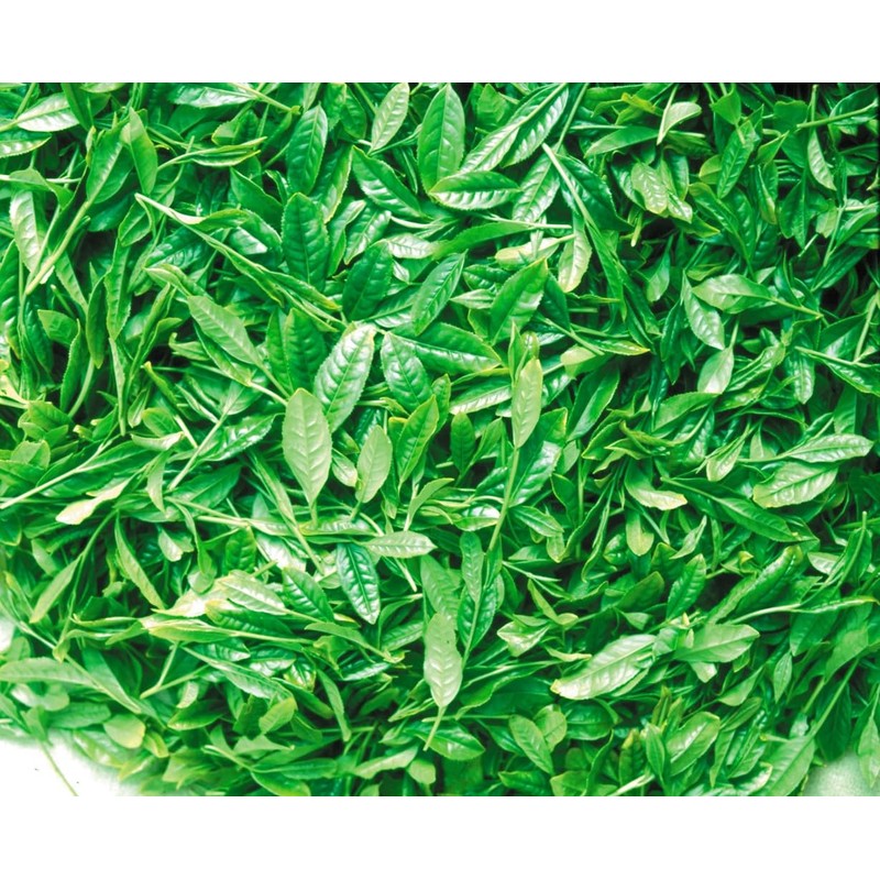 Maruko Cherry Blossom Scented Tea Bag (0.1 oz (3 g)
