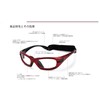 PROGEAR Eyegard S1010 Sports Eyegard, Temple Version, S Metallic Blue