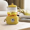 Health Pot Stainless Steel Glass Multifunctional Mini Electric Tea Maker