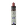 Aspen Nr. 2 Princeps Fiori di Bach Originali Gocce 10ml