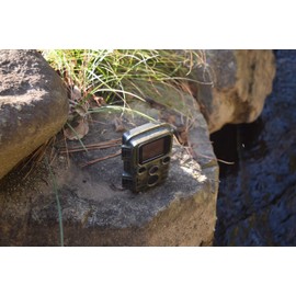 SIGHTRON STR-MiNi300 TT0001S Cytron Trail Camera Infrared Unmanned Photography Camera