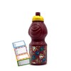 ICE TOYS Childrens School Bottle with Characters + Name Tag