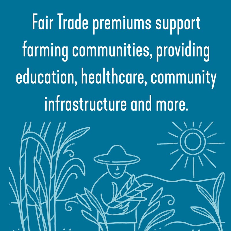 Wholesome Organic Raw Cane Turbinado 24oz, 1-Pack