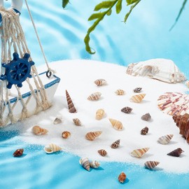 PandaHall 140g Tiny Sea Shell Ocean Beach Spiral Seashells Craft Charms for Candle Making Home Beach Theme Party Wedding Decor Resin Filler, Fish Tank and Vase Filler, No Hole