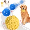Interactive Ball for Dogs, Automatic Moving Dog Toy Ball with