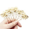 BETITETO Bridal Gold Hair Pins 5pcs Pearl Metal Leaf Wedding