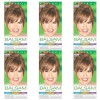 Pack of (6) New Clairol Balsam Permanent Hair Color, 608