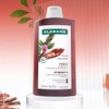 클로란 퀴닌 샴푸, 400ml, 2개 Klorane Quinine Shampoo, 400ml, 2
