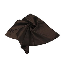 TrendsBlue Elegant Small Silk Feel Solid Color Satin Square Scarf 20", Brown