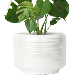 Bestseler 10 Inch Ceramic Plant Pot with Drainage – Large Flower Pot for Indoor Outdoor Plants, Modern Decorative Planter for Patio, Balcony, Garden, or Home Decor