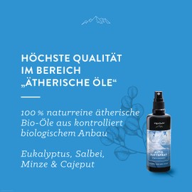 AllgäuQuelle® Auto Duftspray | Der BIO Auto-Duft als natürlicher Auto-Duftspender mit Eukalyptus, Salbei, Minze u. Cajeput | ideales Auto Zubehör für Auto Innenraum und Wohnmobil