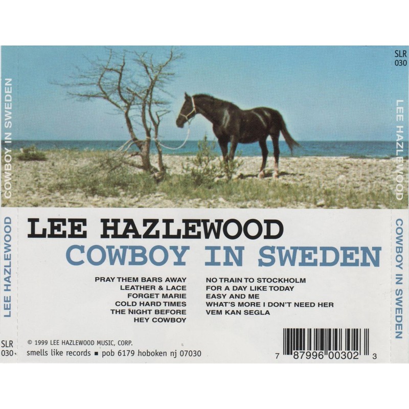 Cowboy in Sweden