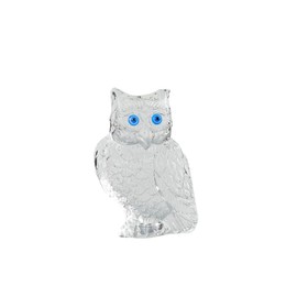 Arikyrist Crystal Clear Owl Collectible Figurines, Birthday Christmas Cute Owl Gifts for Women Crystal Owl Paperweight Decor for Home Office