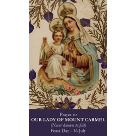 Keeping God in Sports Our Lady of Mount Carmel Prayer Card (10-Pack) with a Free Bonus Card of Divine Mercy and One of The Footprints Story