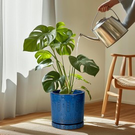 Eightpot Plant Saucer 9.3 Inch - Ceramic Plant Saucer for Indoors Outdoors Plant Water Catcher Tray Plant Drainage Tray Decorative Flower Pot Saucer Plant Plates Blue