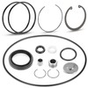 Rear Differential & Axle Bearing Seal Kit & Nut Tool