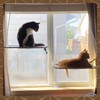 All Around 360° Sunbath and Lower Support Safety Iron Cat
