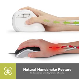 DeLUX Wireless Small Ergonomic Mouse, Silent BT Vertical Mouse, 6 Buttons and 4000 DPI, Reduce Wrist Pain and Hand Pressure, for PC Computer Laptop (M618Mini DB-White)