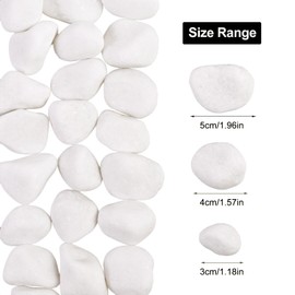 Lechloris 20Ib Snow White River Rock-Decorative Stones-Pebbles for Indoor Plants-Rocks for Outdoor Landscaping 1-2 inch High Polished Stones for Aquarium, Home Decor,Garden Decor