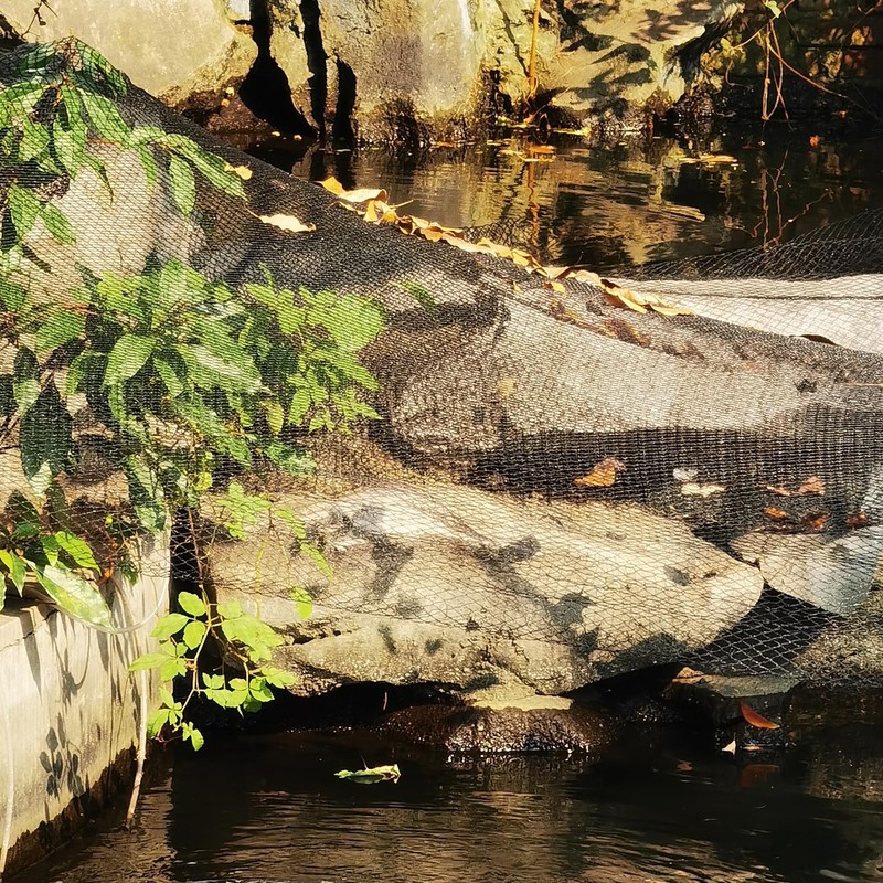 Meanchen Pond Netting 15 X 20 FT,Pond Netting for Leaves,Pond
