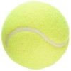 TENNIS BALLS