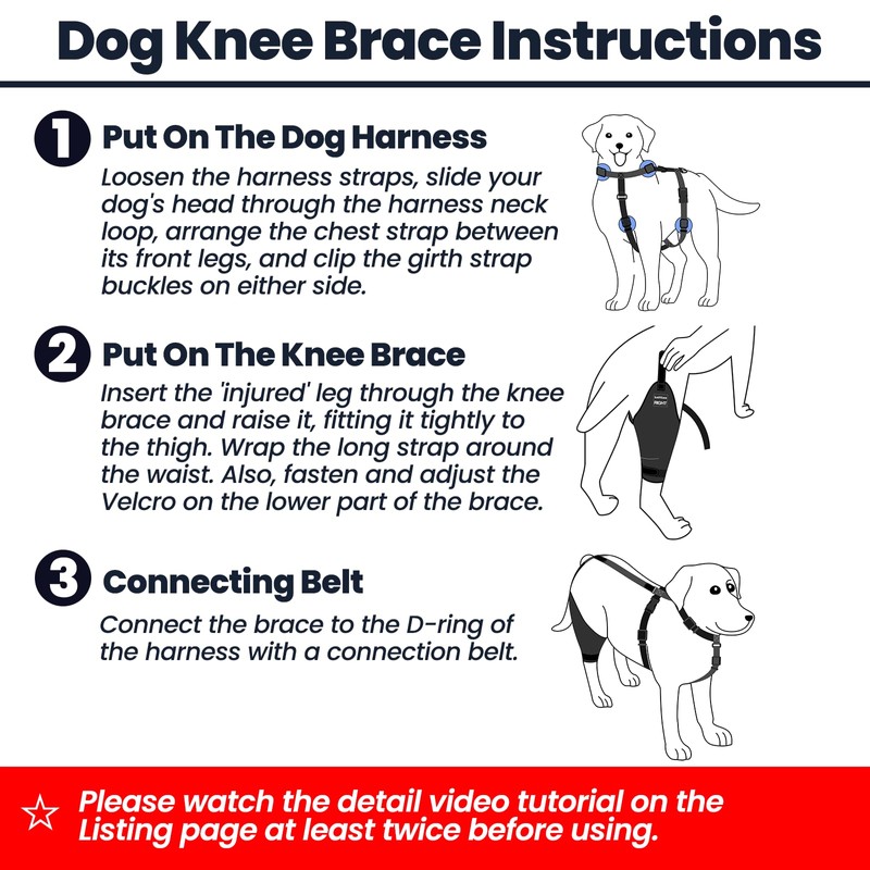LufeLux Dog Knee Brace with Harness and Connection Belt, Lightweight