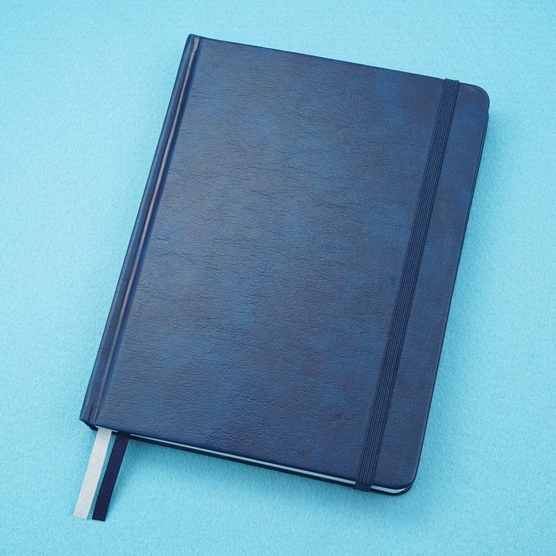 Tabitha Wilde A5 (ish) Hardback Notebook Dotted Paper, Numbered Pages