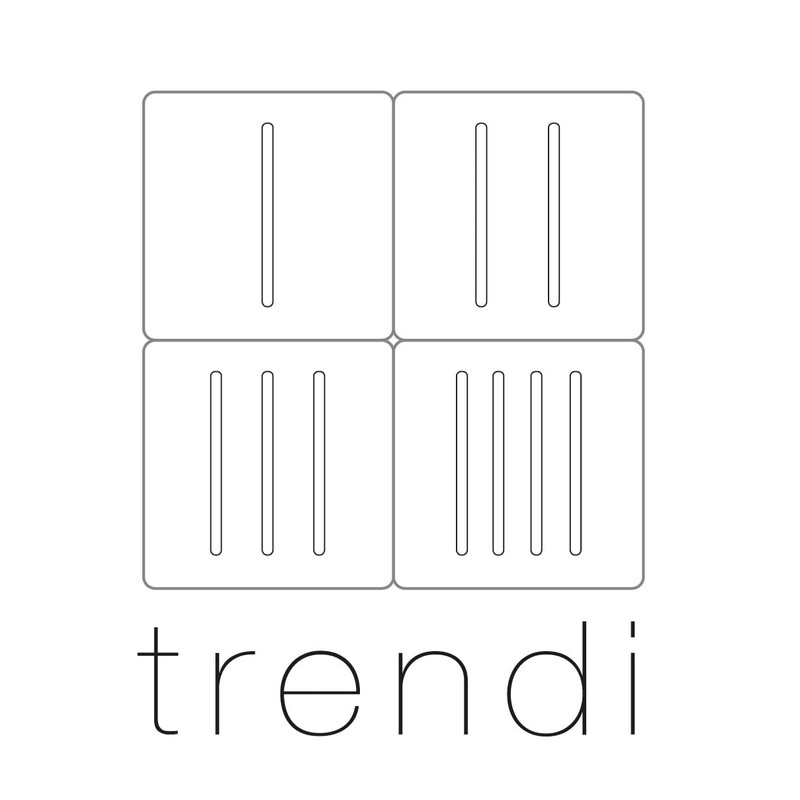 Trendi Artistic Modern Glossy 4 Gang 2 Way Stainless Steel