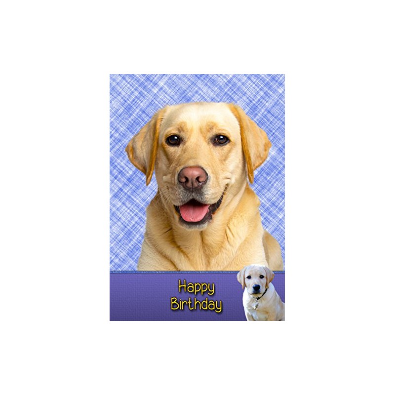 Golden Labrador Birthday Card