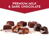 Fannie May, Milk and Dark Chocolate Holiday Gifts, Assorted Chocolates,