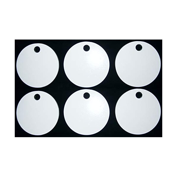 Steel Shooting Targets - 6 Inch Round Hangers - NRA Action Pistol Plates - 6 pcs