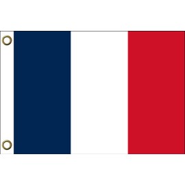 France flag, 150 cm x 90 cm / 90 x 150 cm, weatherproof and durable, polyester with two eyelets